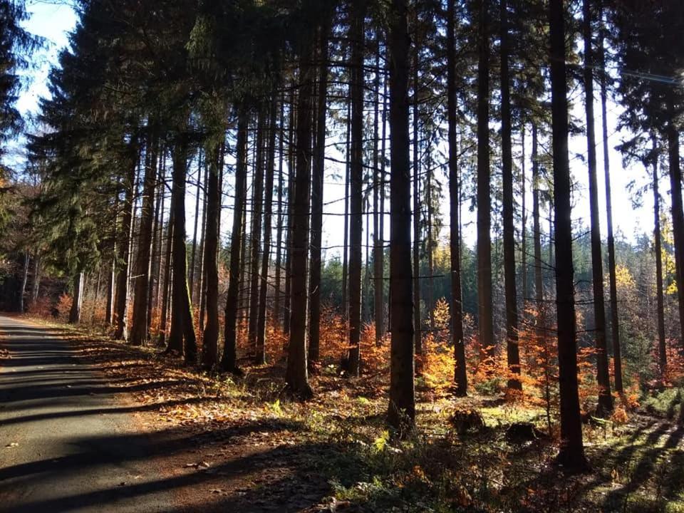 Karlovarska *